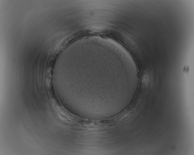 X0000111370868200907171156