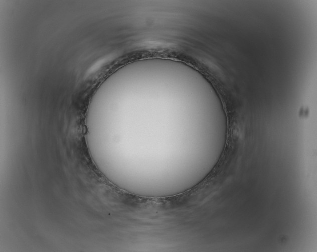 X0000111370869200907171156