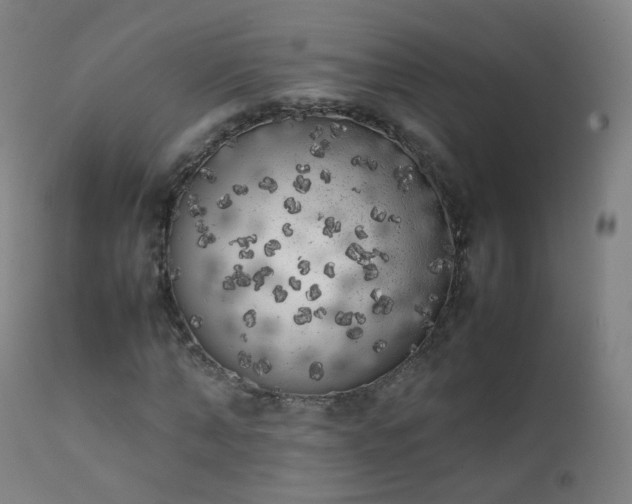 X0000111370870200907171156