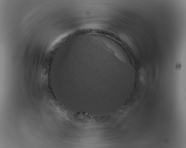 X0000111370872200907171156