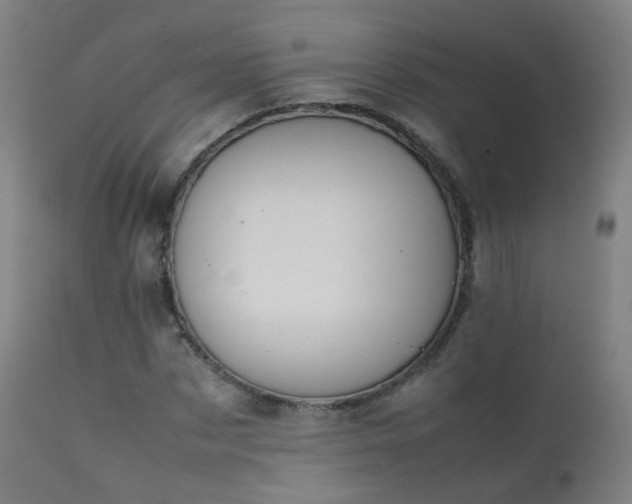 X0000111370873200907171156