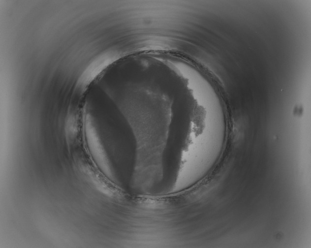 X0000111370874200907171156