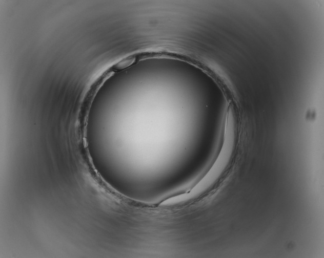 X0000111370876200907171156