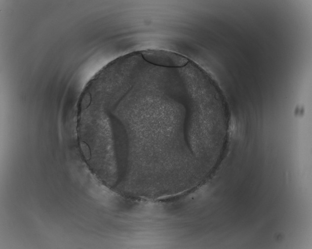 X0000111370877200907171156