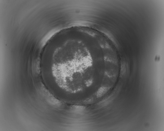 X0000111370878200907171156