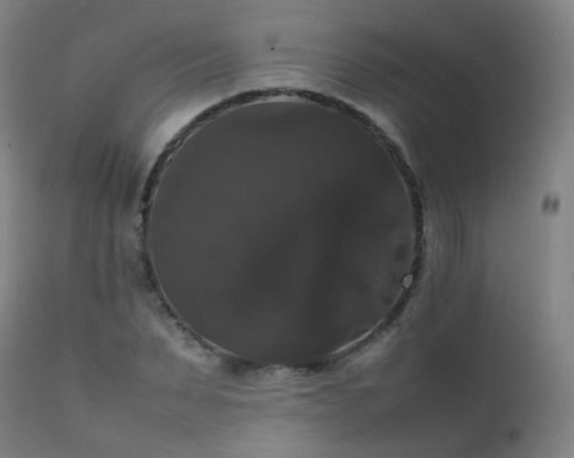 X0000111370879200907171156