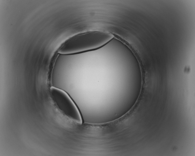 X0000111370880200907171156