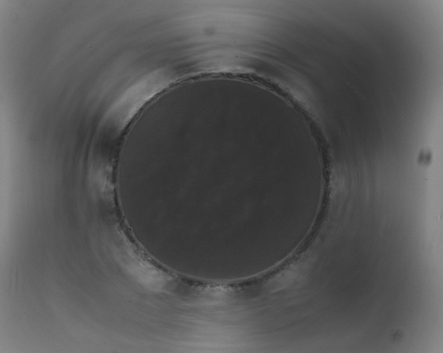 X0000111370881200907171156