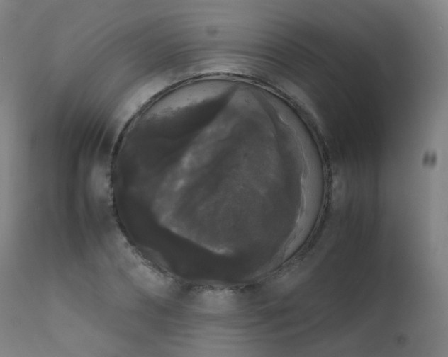 X0000111370882200907171156