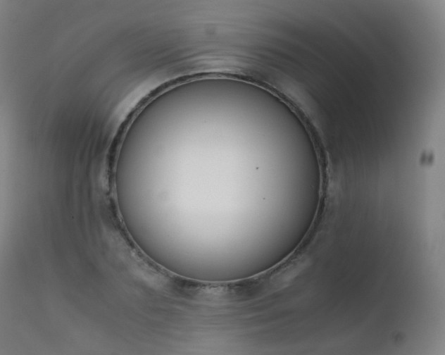 X0000111370883200907171155