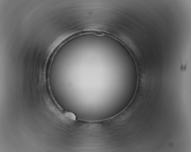 X0000111370884200907171155