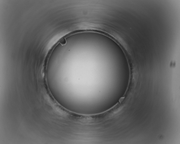 X0000111370885200907171155