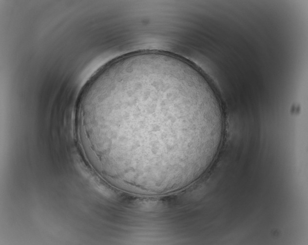 X0000111370886200907171155