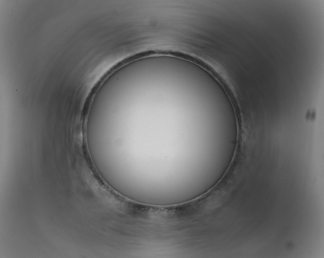 X0000111370887200907171155