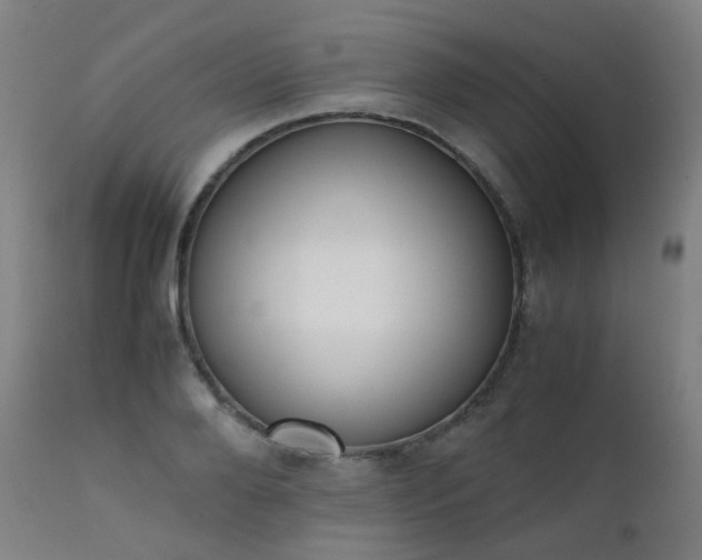 X0000111370888200907171155