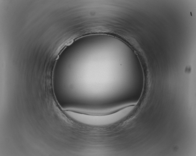 X0000111370889200907171155