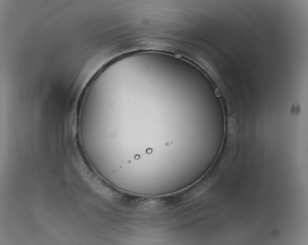 X0000111370891200907171155