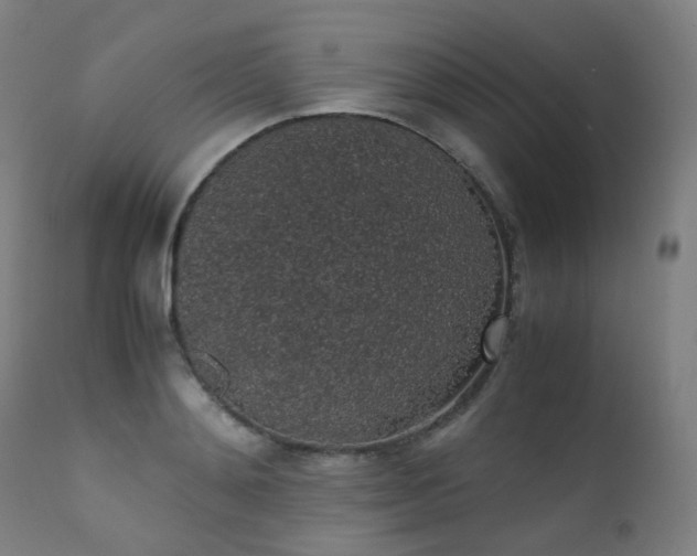 X0000111370892200907171155