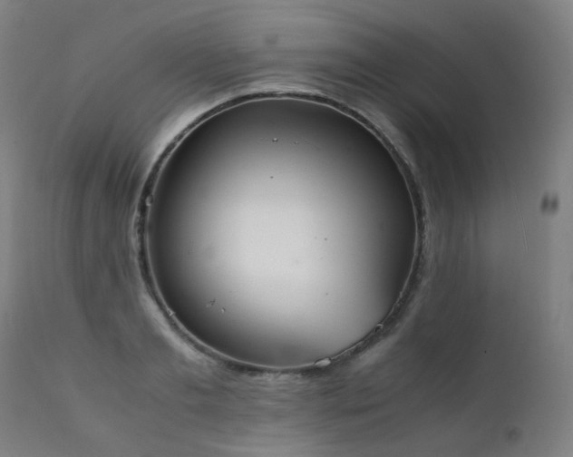 X0000111370893200907171155