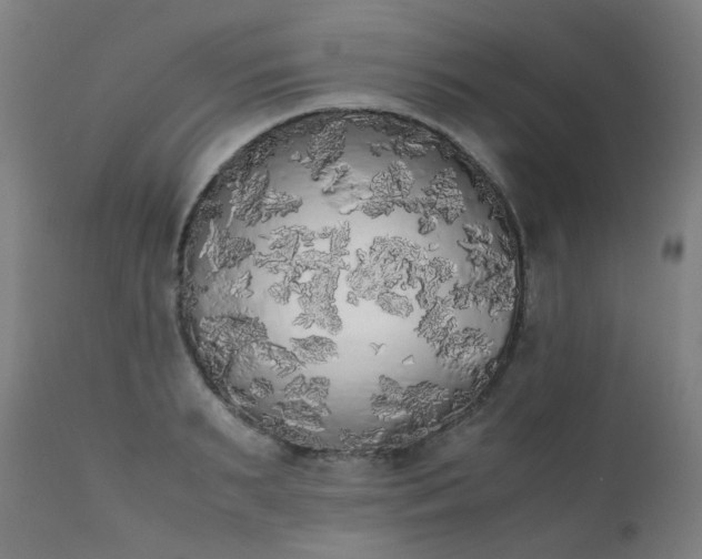 X0000111370895200907171155