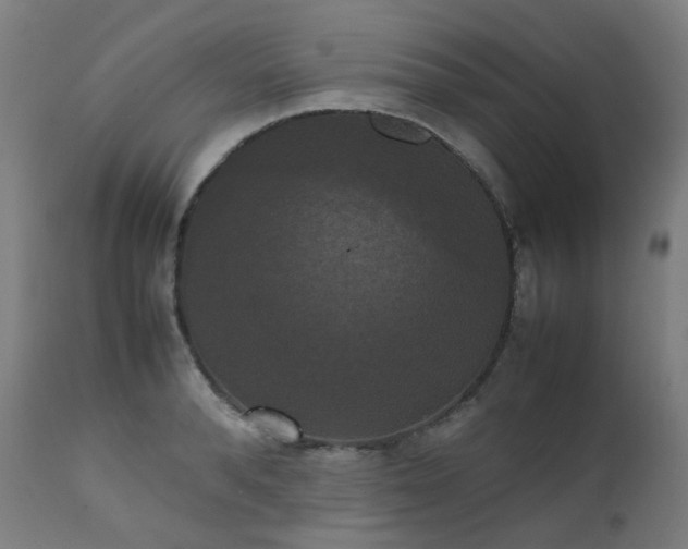 X0000111370896200907171155