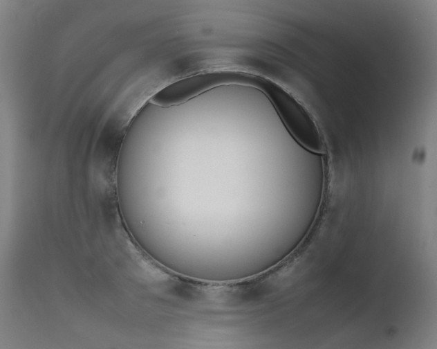 X0000111370897200907171155