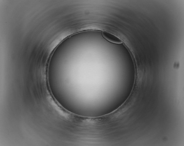 X0000111370898200907171155