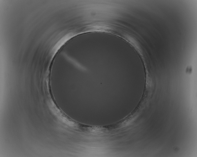 X0000111370899200907171155