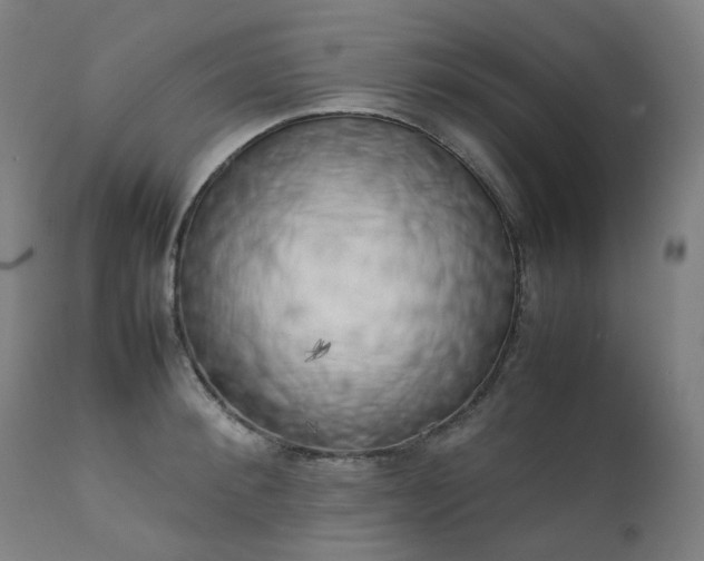 X0000111370900200907171155