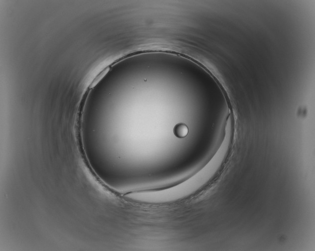 X0000111370901200907171155