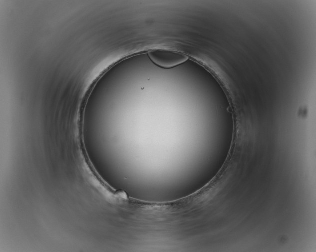 X0000111370902200907171155