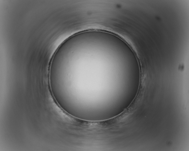 X0000111370903200907171155