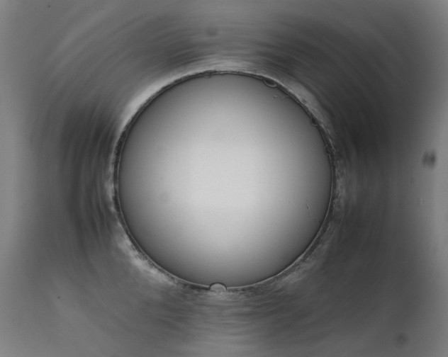 X0000111370904200907171155