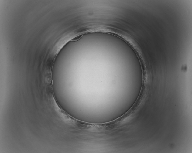 X0000111370905200907171155