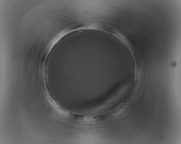 X0000111370907200907171155