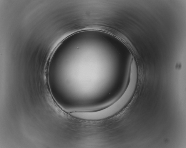 X0000111370908200907171155