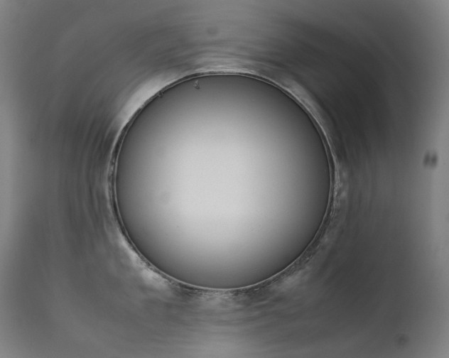 X0000111370909200907171155