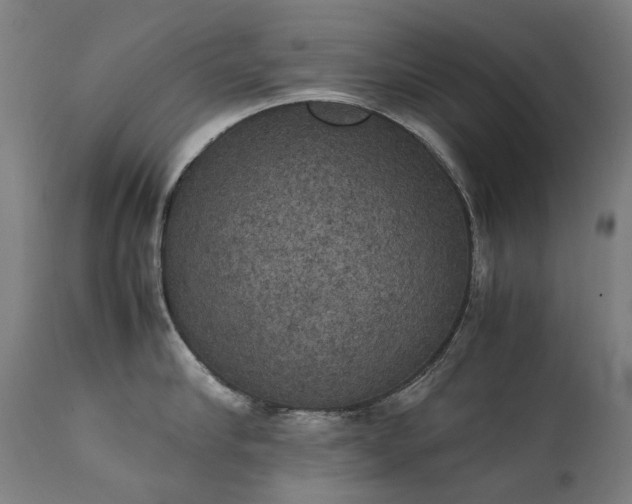 X0000111370910200907171155