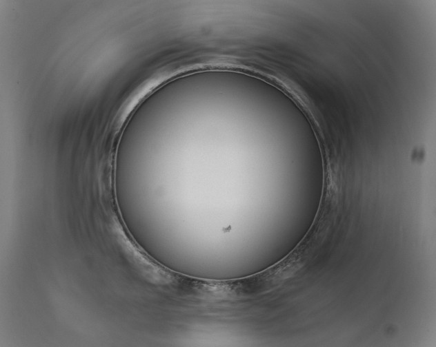 X0000111370911200907171155