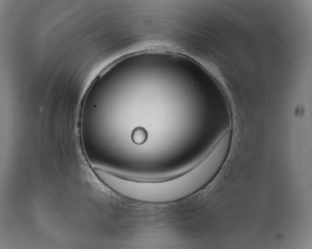 X0000111370912200907171155