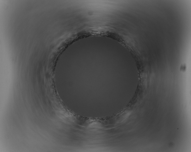 X0000111370913200907171154