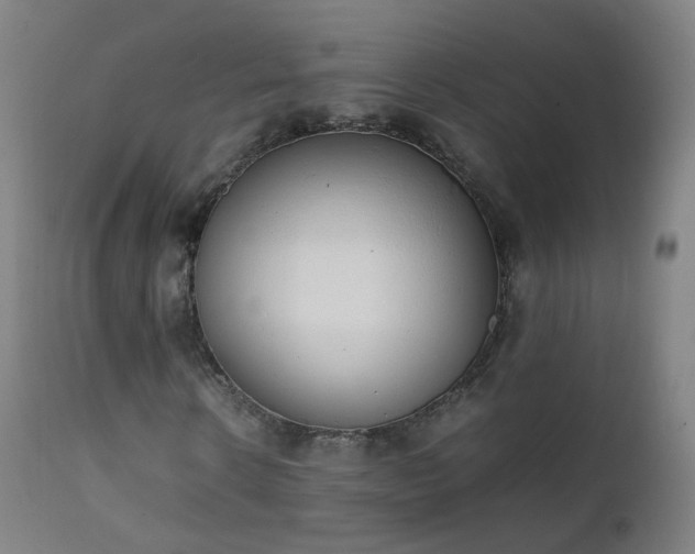 X0000111370914200907171154