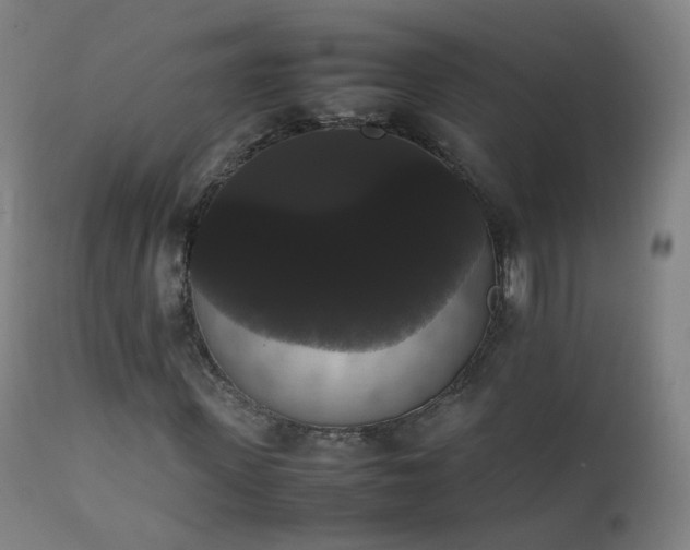 X0000111370915200907171154