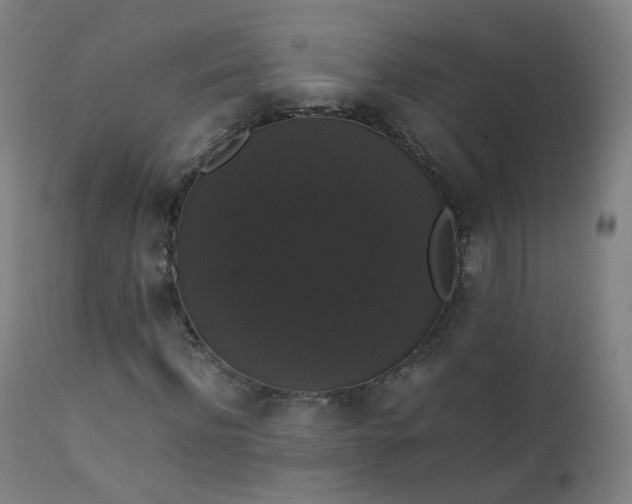 X0000111370916200907171154