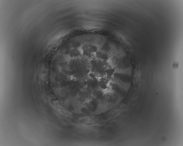 X0000111370917200907171154