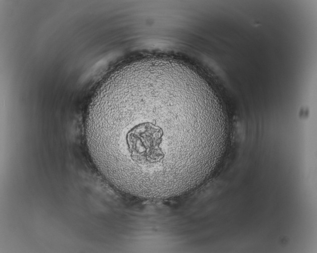 X0000111370918200907171154