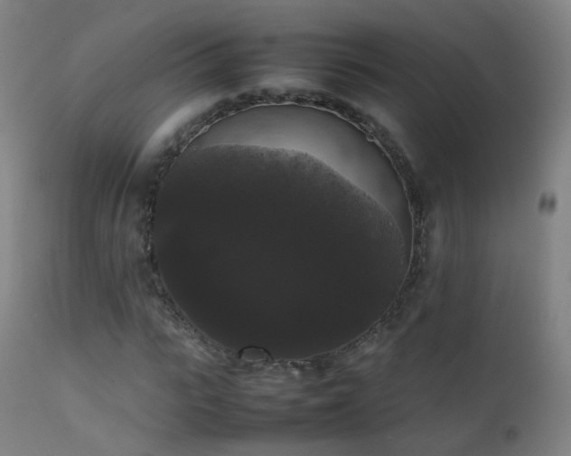 X0000111370919200907171154