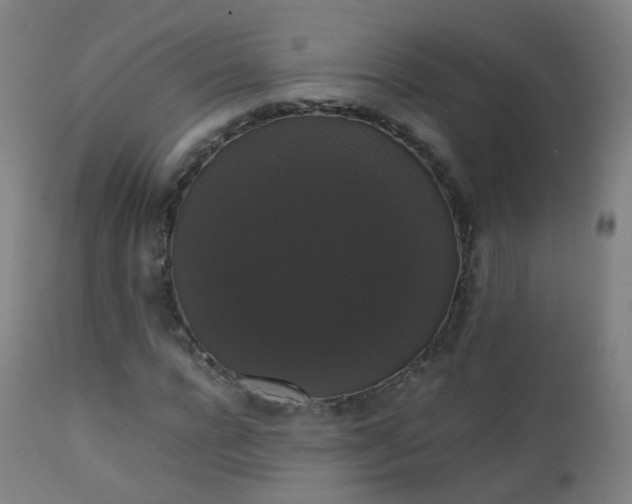 X0000111370920200907171154