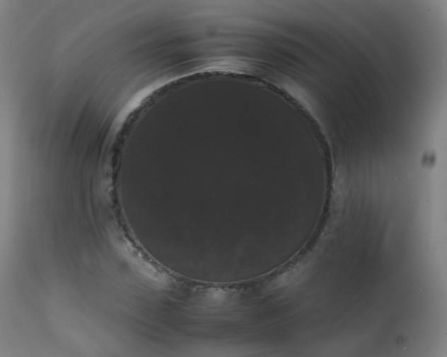 X0000111370923200907171154