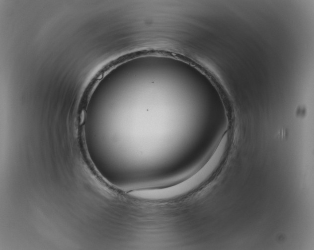 X0000111370924200907171154